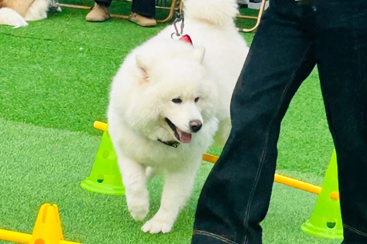 pp电子(中国)官方网站