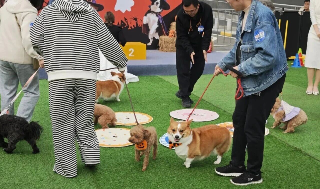 pp电子(中国)官方网站