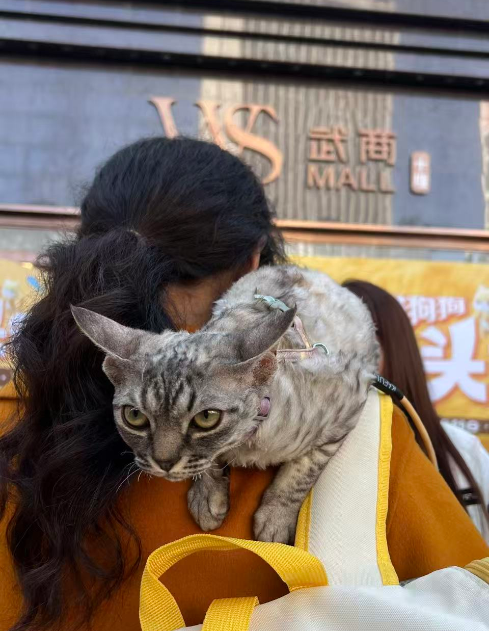 pp电子(中国)官方网站