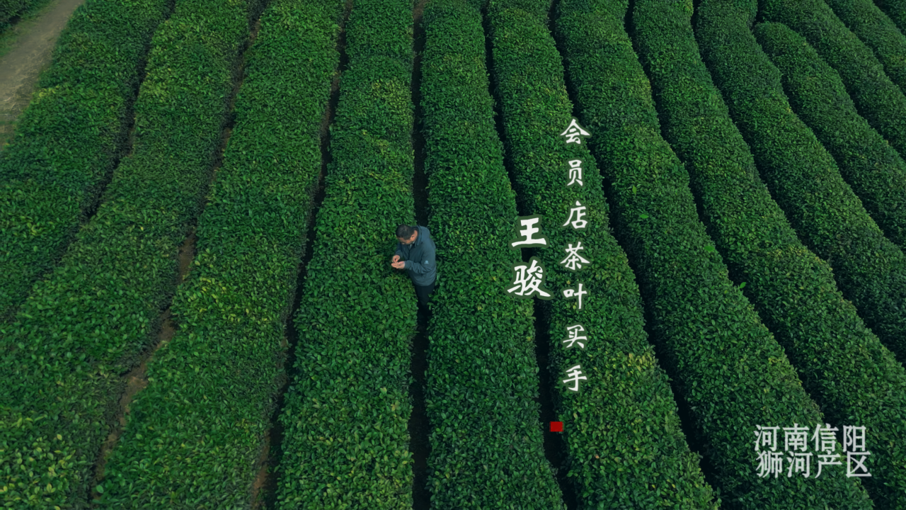 pp电子(中国)官方网站