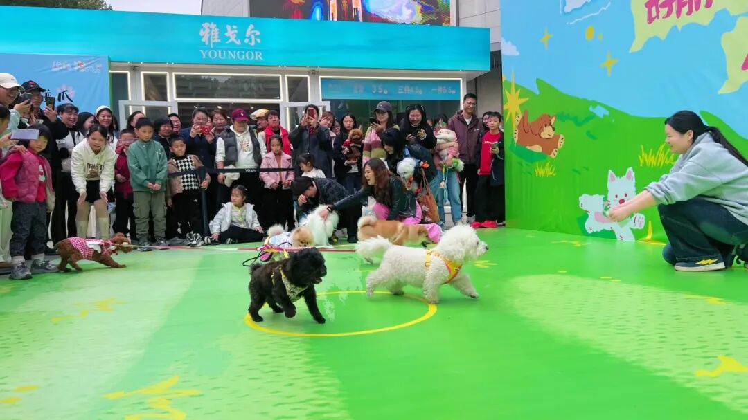 pp电子(中国)官方网站